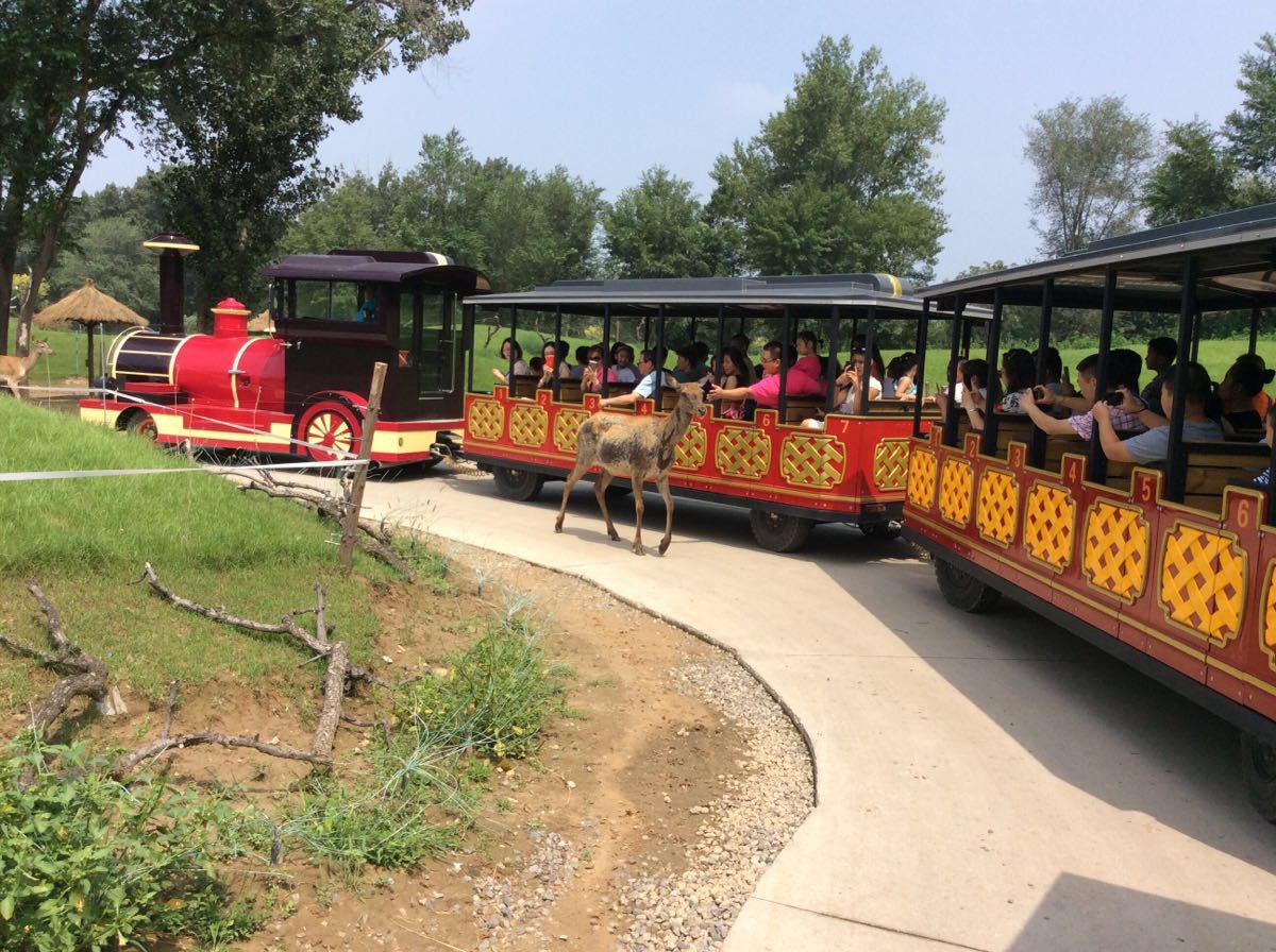 北京野生動物園