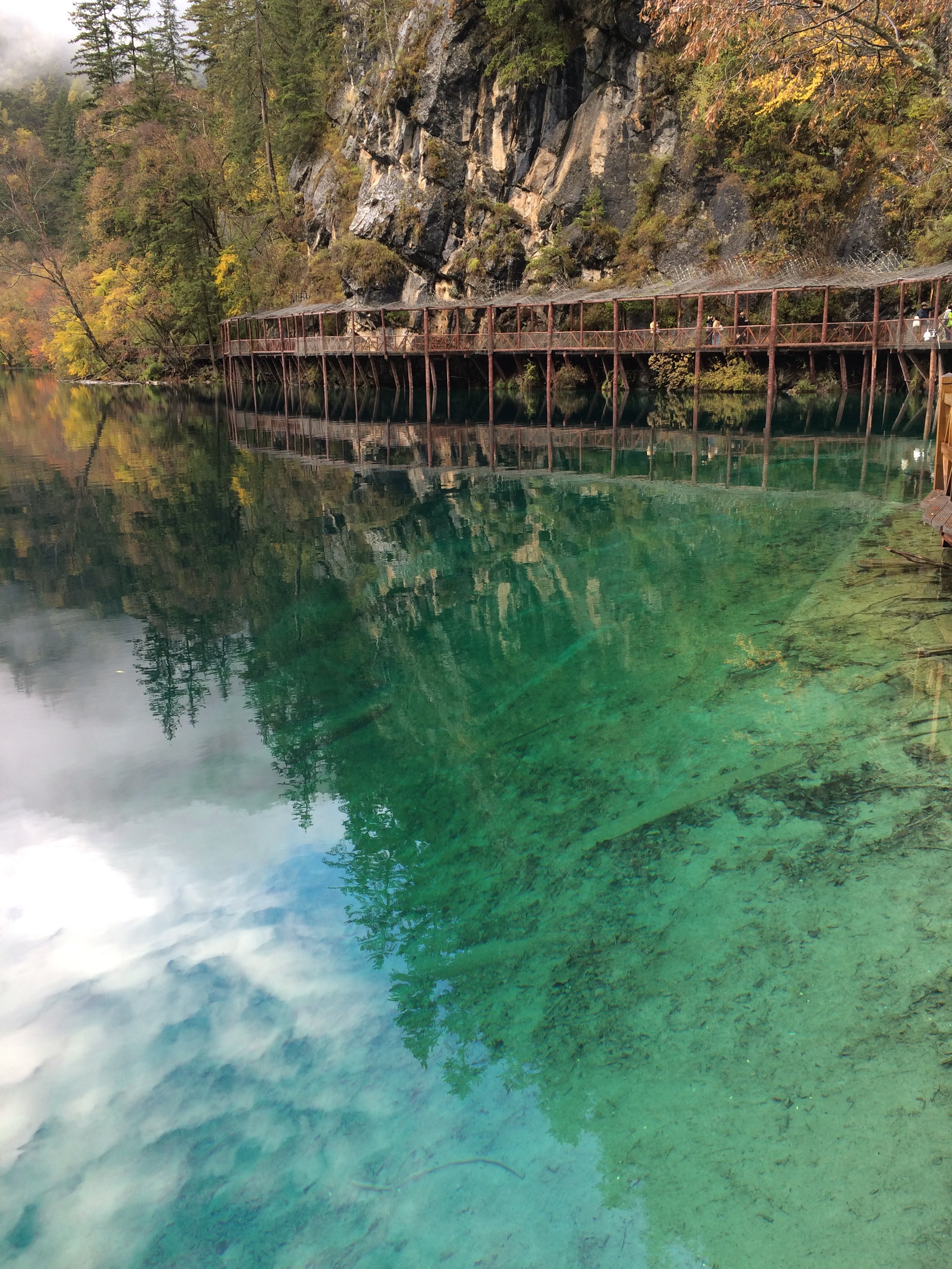 【攜程攻略】九寨溝熊貓海適合情侶出遊旅遊嗎,熊貓海情侶出遊景點