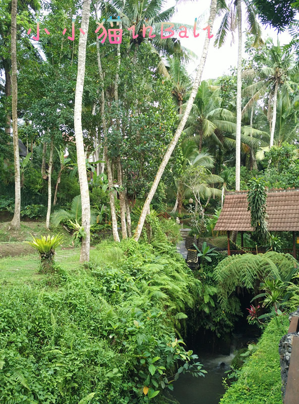 南纬8°巴厘岛+新加坡转机(含菜单中英文)(入