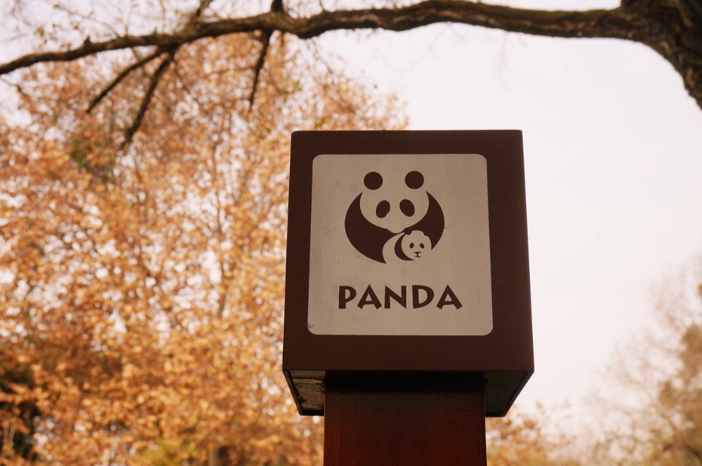 成都大熊猫繁育研究基地