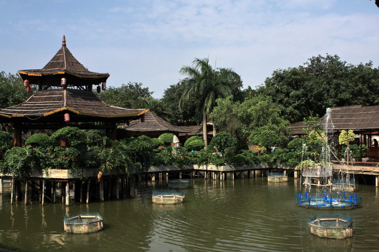 肇庆市善庆寺骗子图片