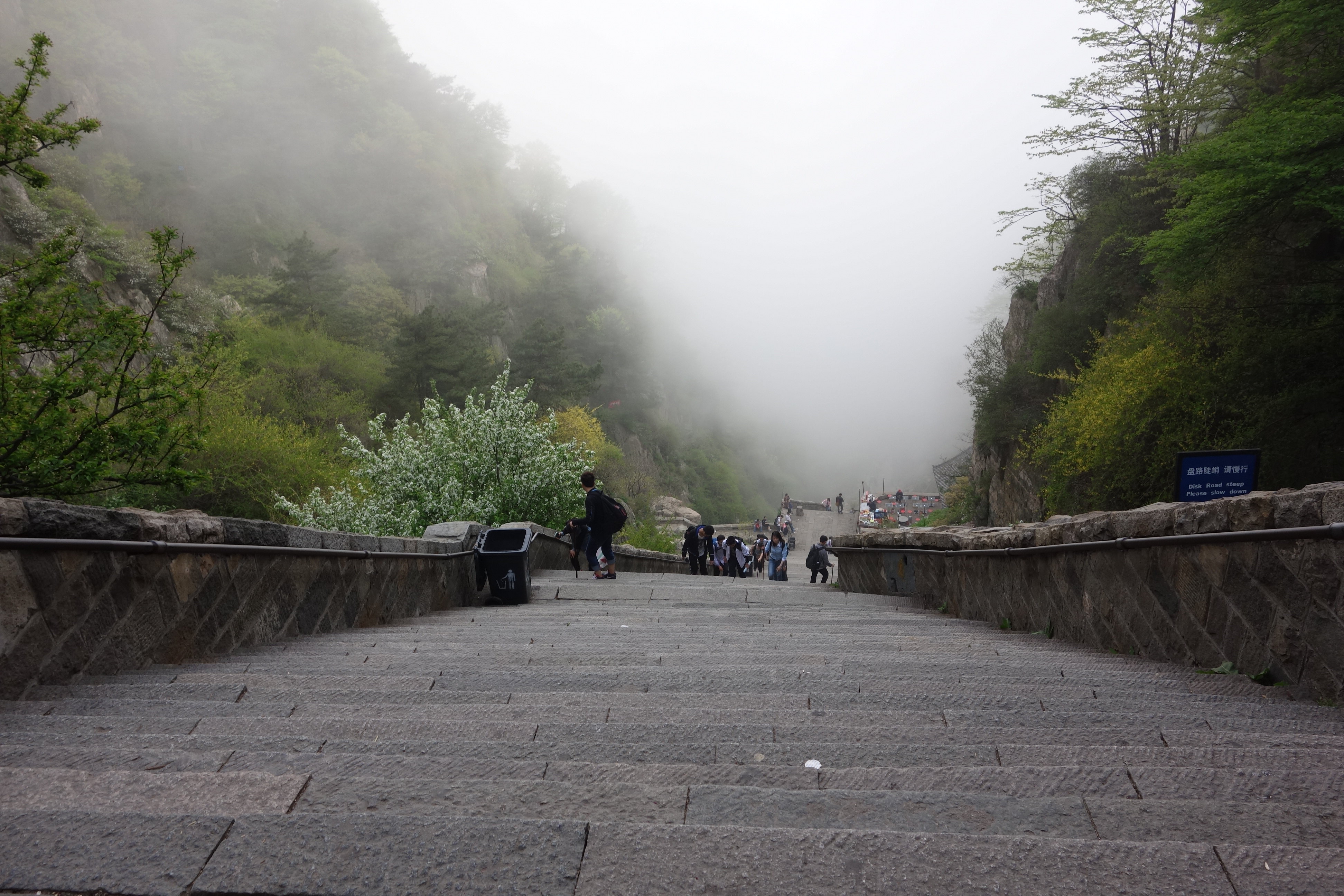 厚重人文山東行#泰山上山篇