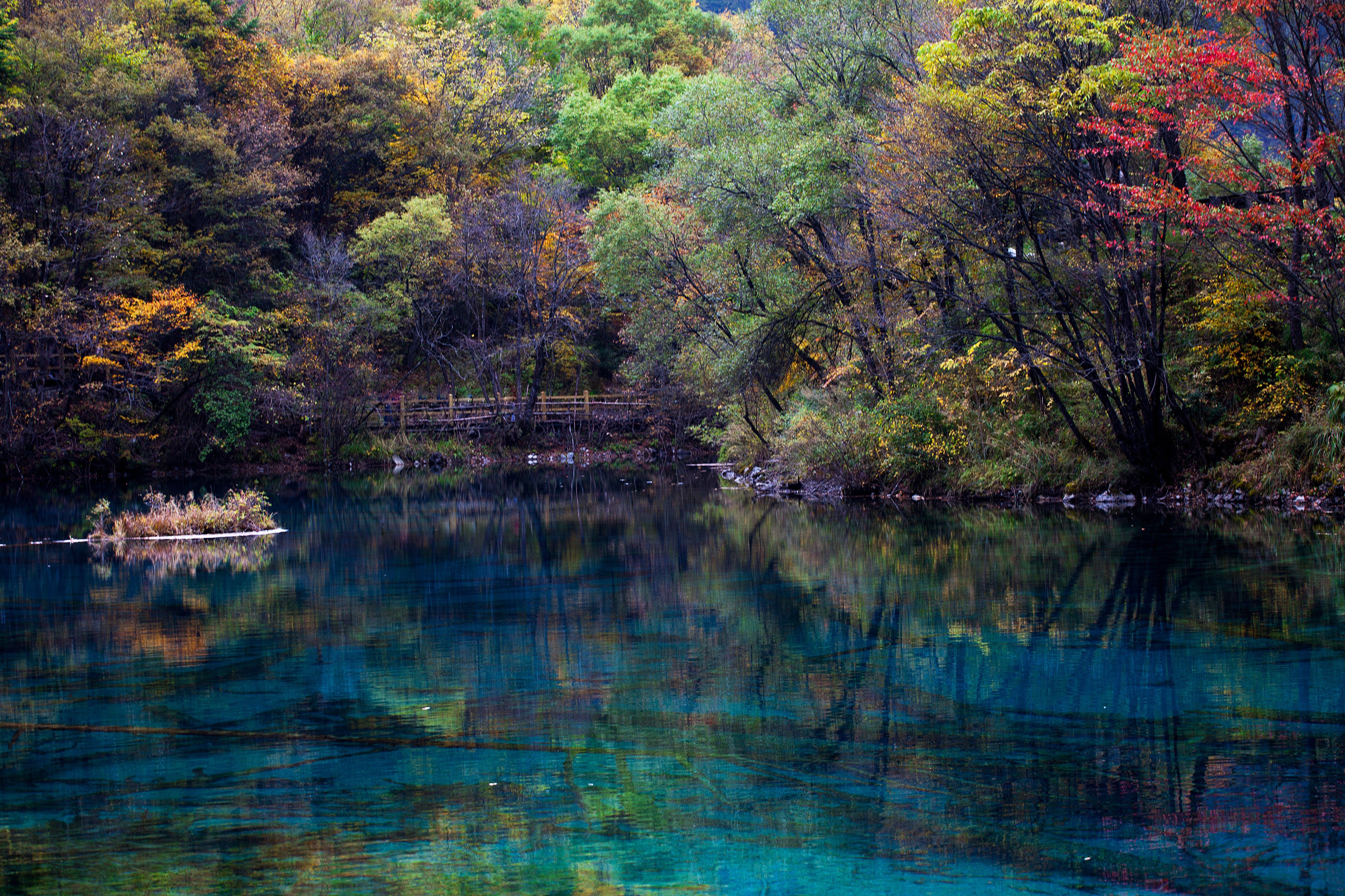 孔雀河道 直线距离772m