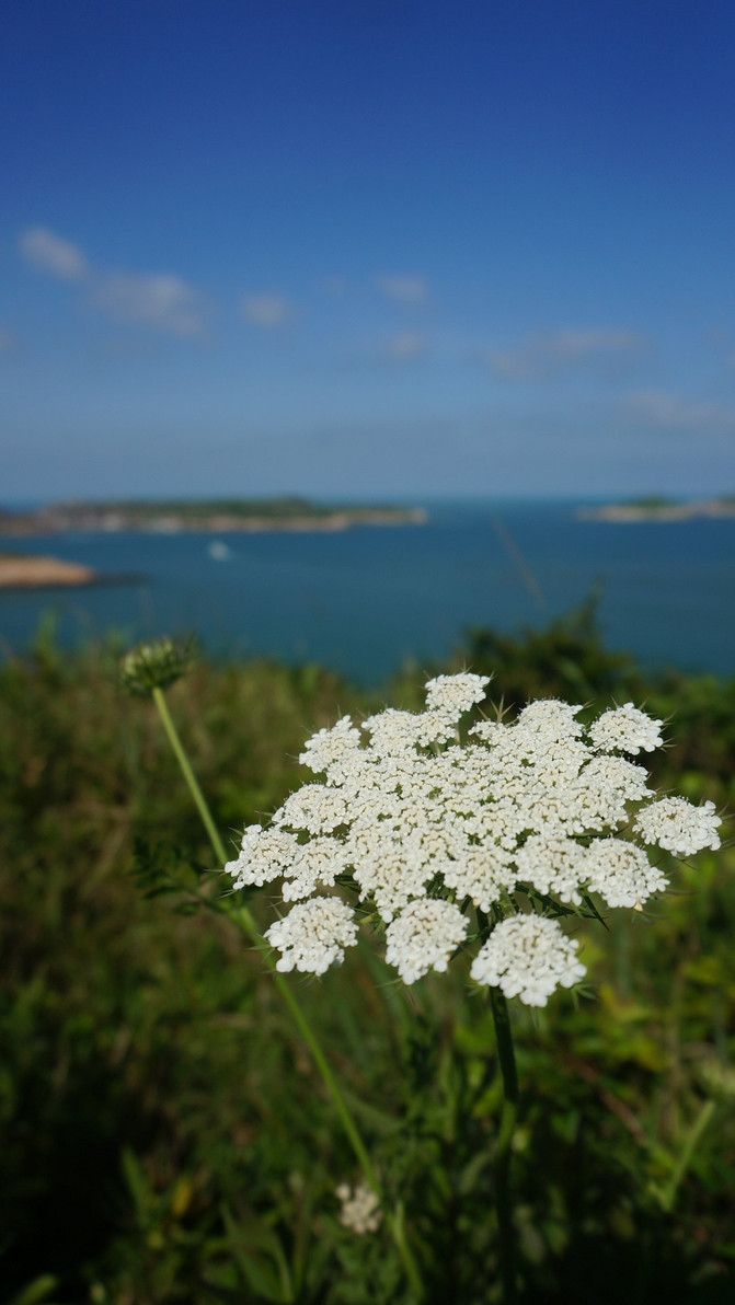 陆之东极 海之西陲 -- 上海出发 东极岛之行