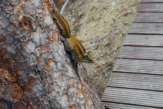春节后的踏青:昆明-丽江-泸沽湖-香格里拉夫妻游详细攻略