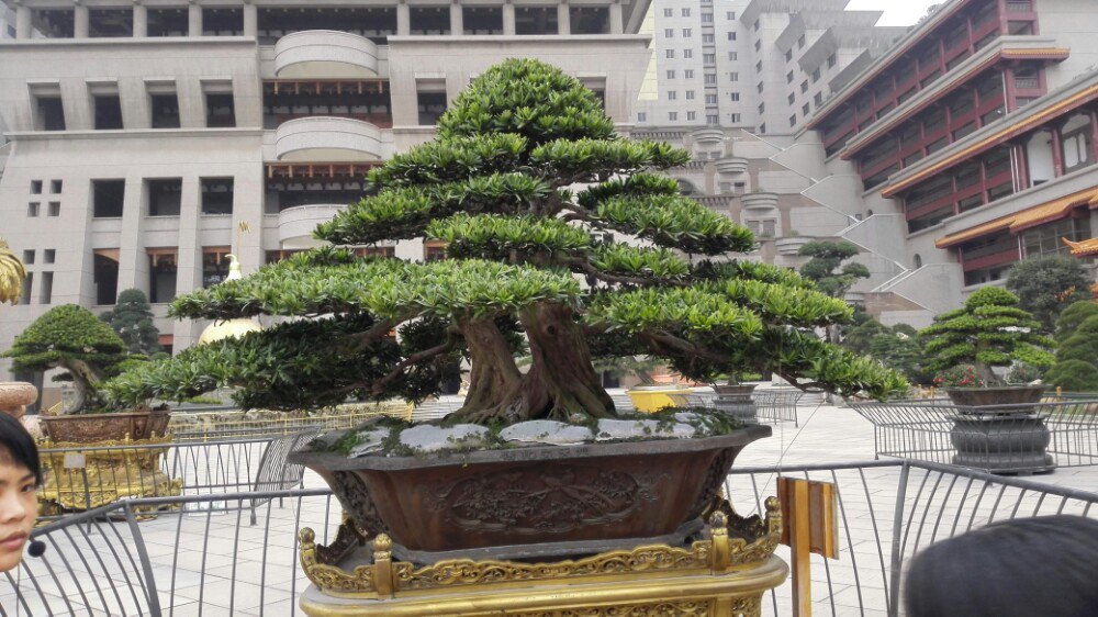 云天宫