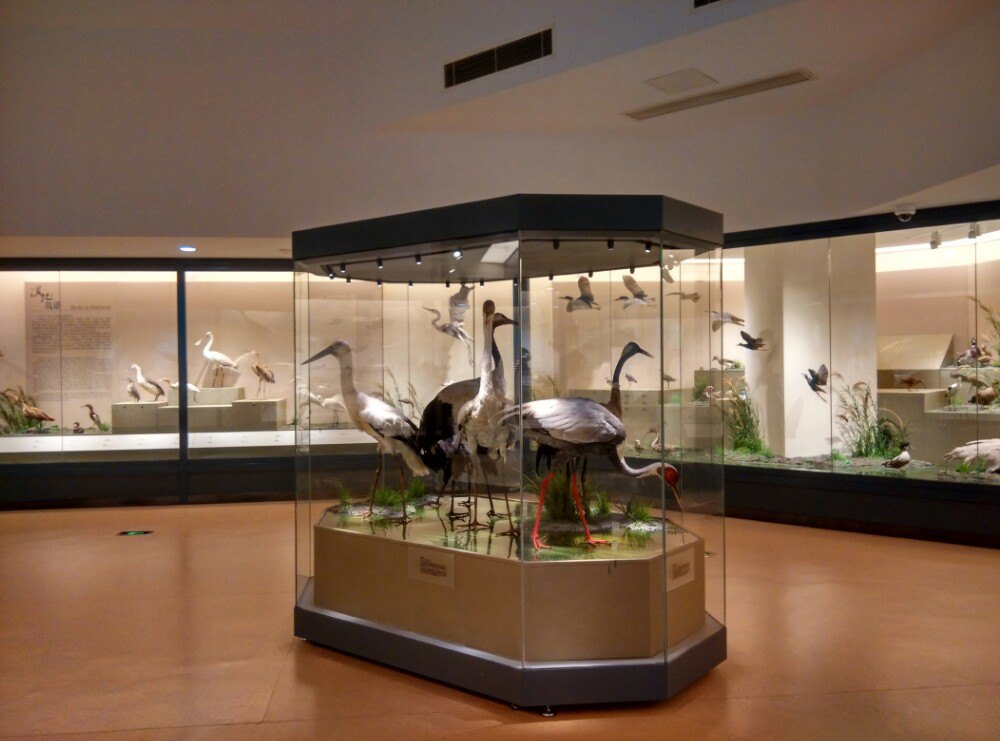 【携程攻略】南通南通博物苑适合朋友出游旅游吗,南通博物苑朋友出游