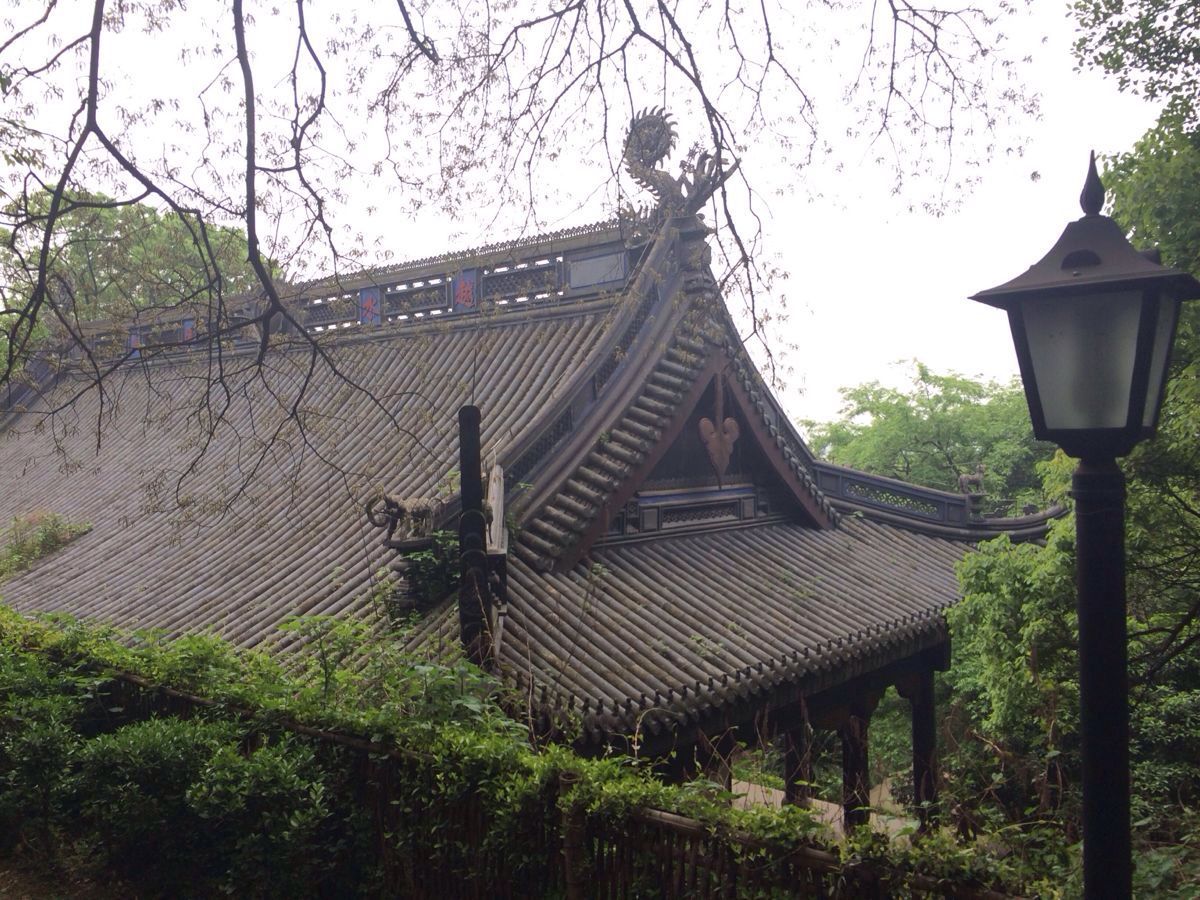 2019府山公園_旅遊攻略_門票_地址_遊記點評,紹興旅遊景點推薦 - 去