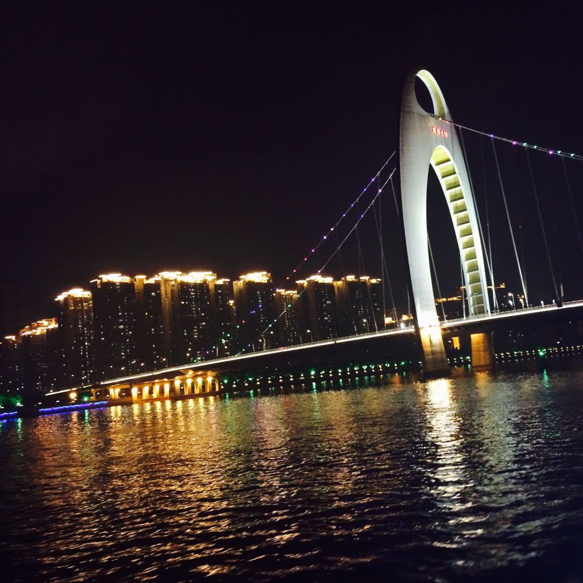 2019珠江夜游大沙头码头_旅游攻略_门票_地址_游记点评,广州旅游玩乐