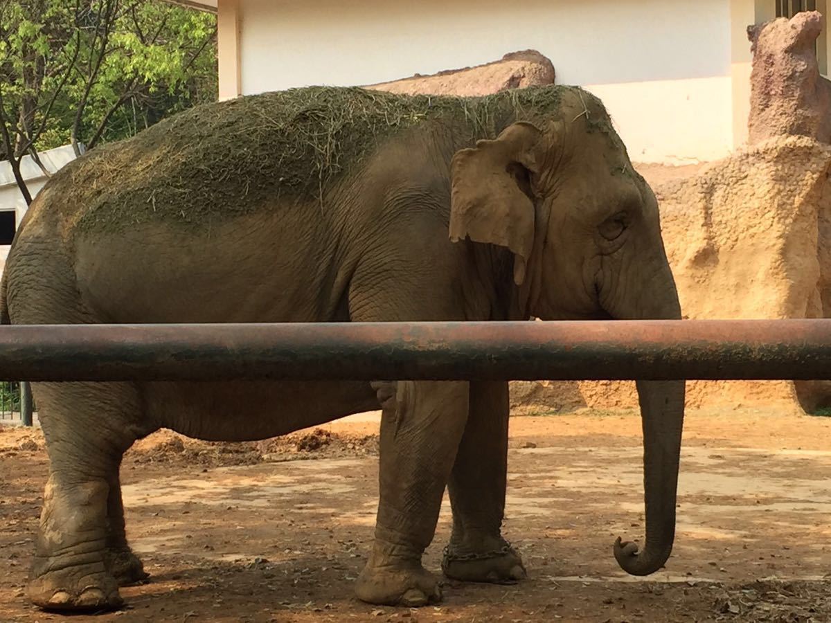 溫州動物園