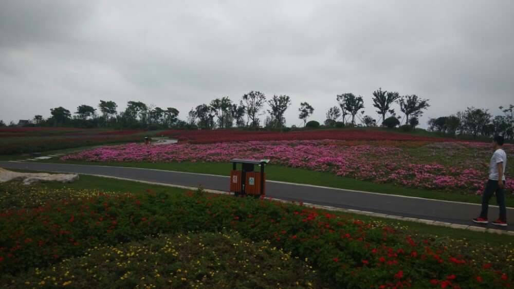 2019周浦花海