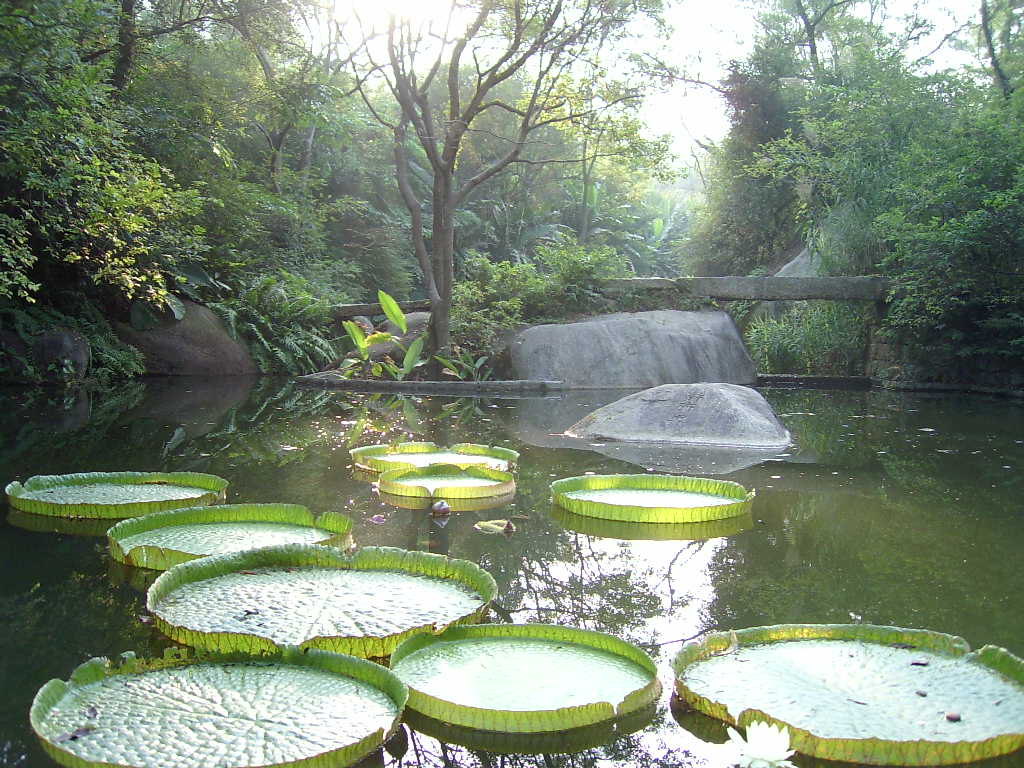 廈門園林植物園家庭親子景點推薦/點評