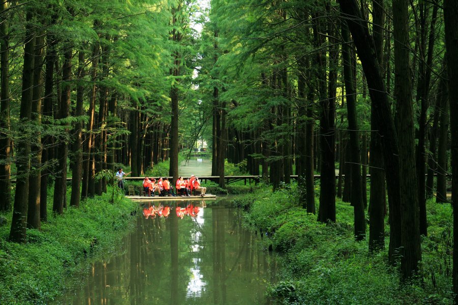 【攜程攻略】興化李中水上森林公園適合朋友出遊旅遊嗎,李中水上森林