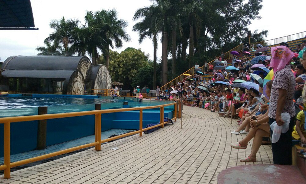 因為動物園的門票裡的那些遊樂設施,你是不可能一一都能玩的,有些是