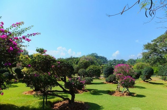 2019熱帶花卉園_旅遊攻略_門票_地址_遊記點評,西雙版納旅遊景點推薦