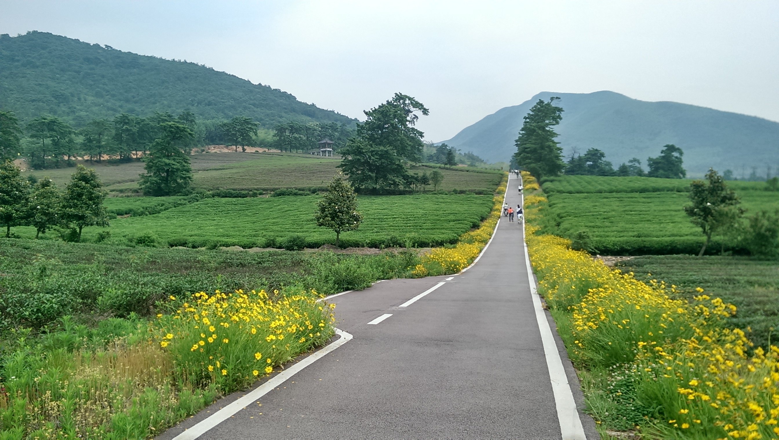 龙池山自行车公园