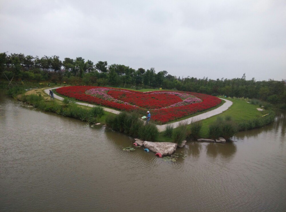 2019周浦花海