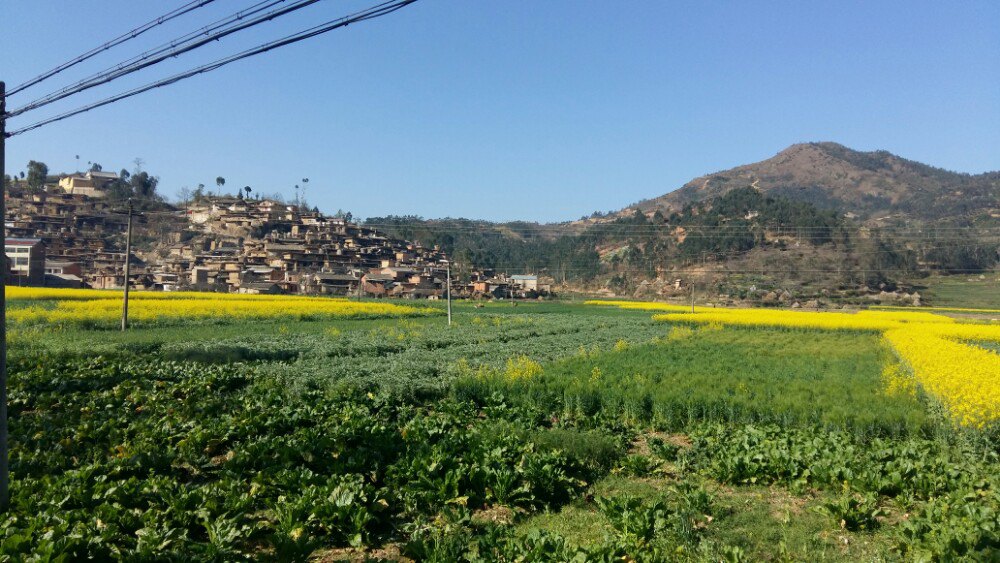 2020城子古村-旅遊攻略-門票-地址-問答-遊記點評,瀘西旅遊旅遊景點