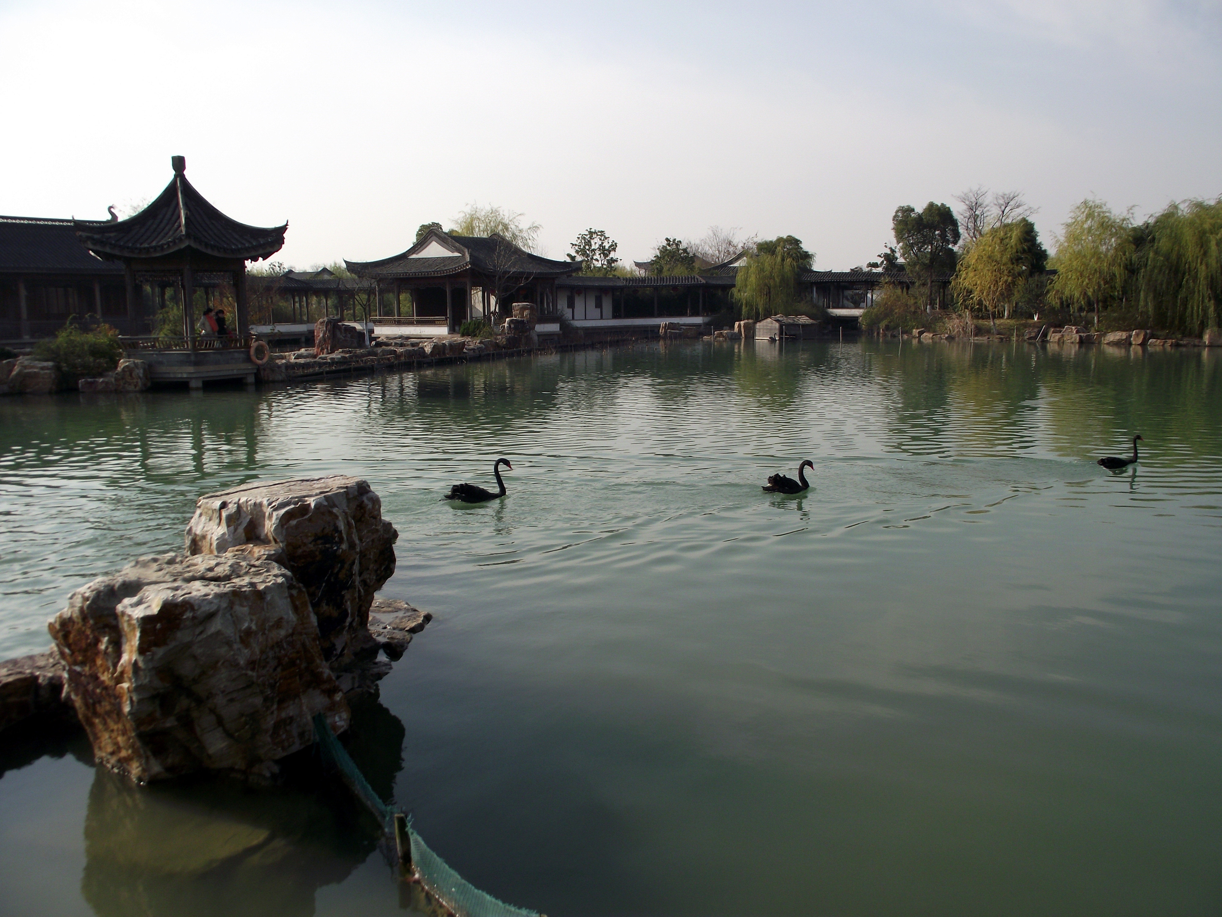 韋金勇:蘇州常熟沙家浜,尚湖,興福寺一日遊(別忘了尋找興福寺裡三大寶