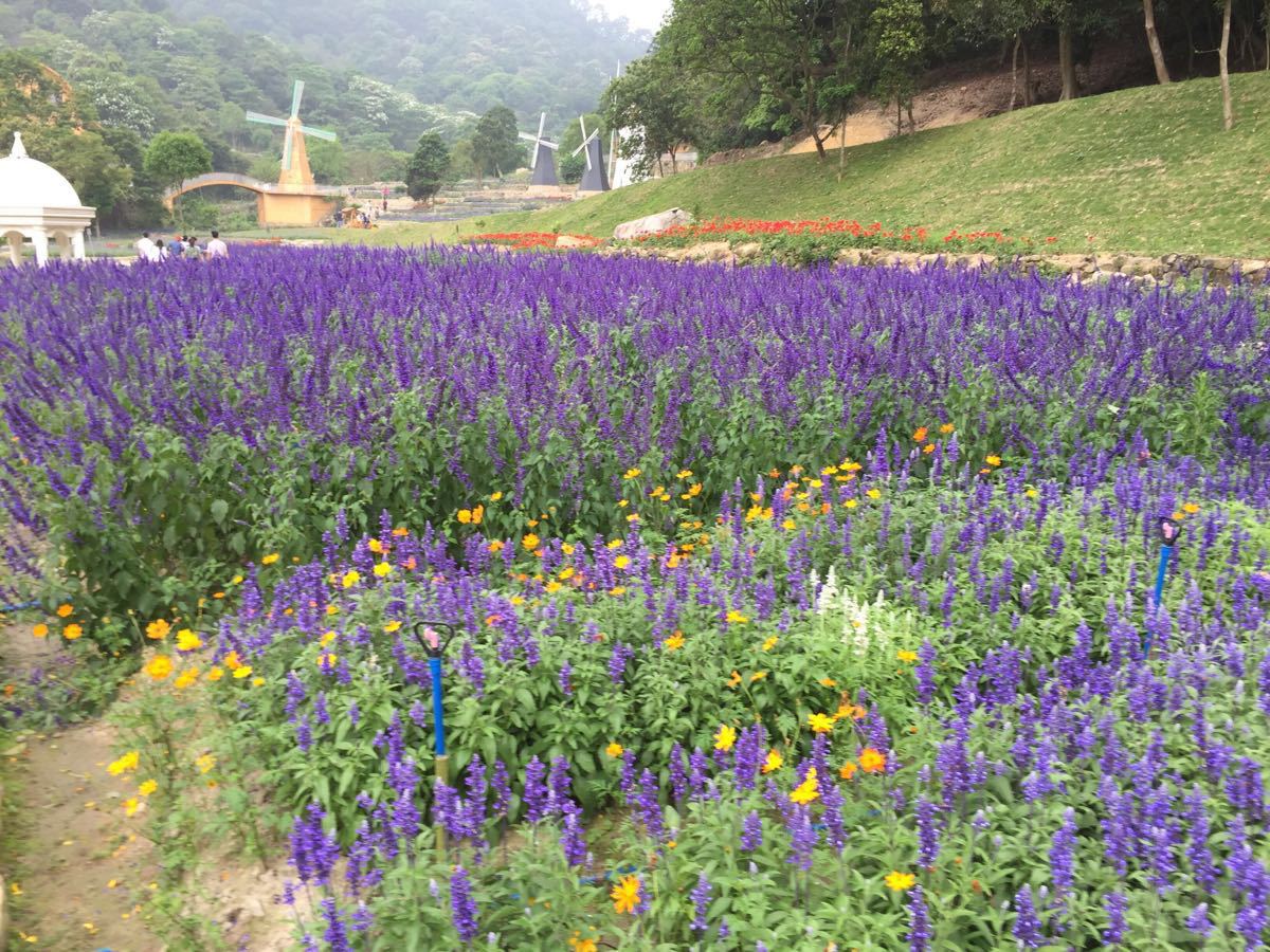 【携程攻略】广州二龙山生态园景点,总体感觉很不错的一个景点!