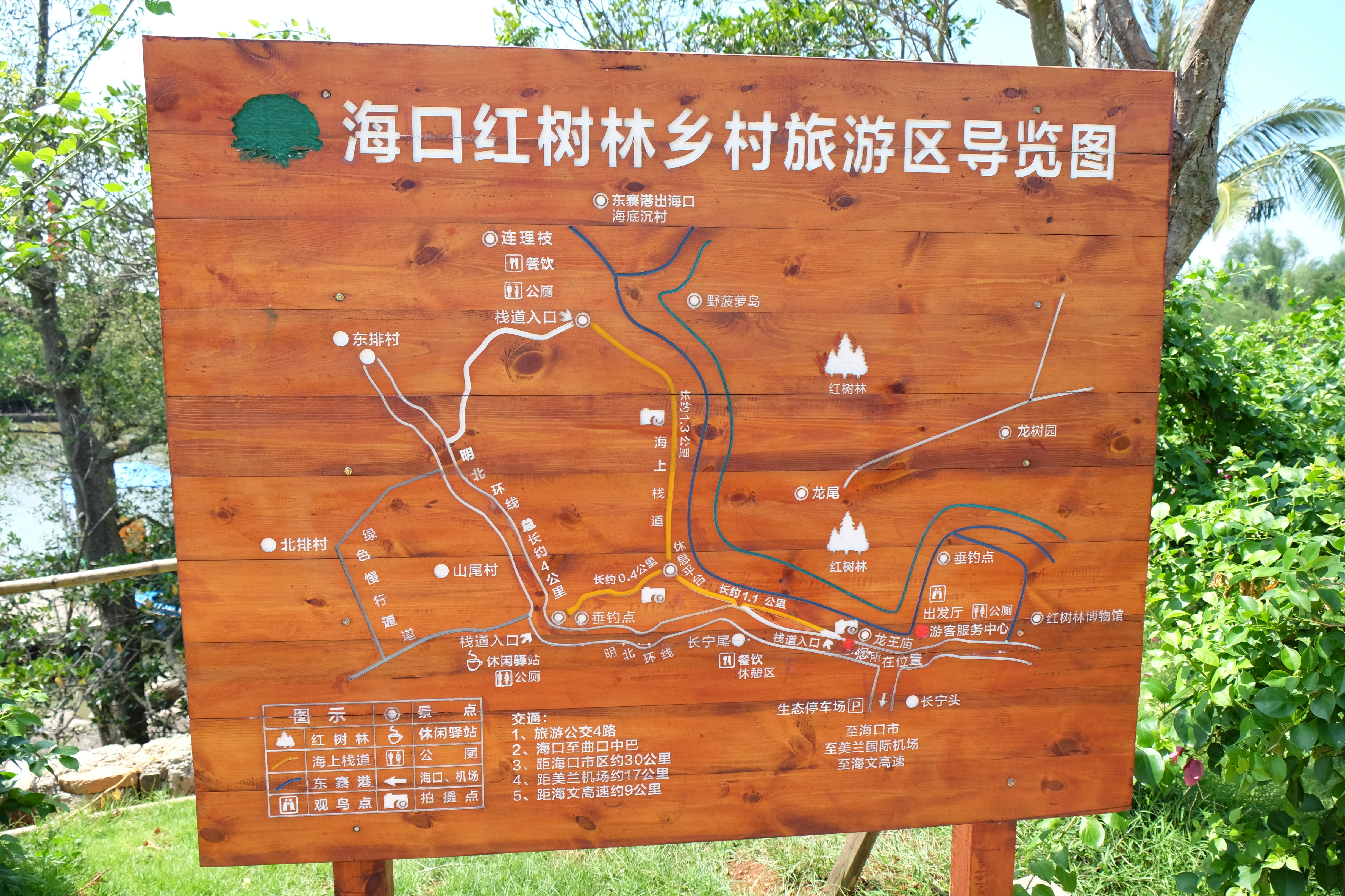 广西北海红树林简介图片