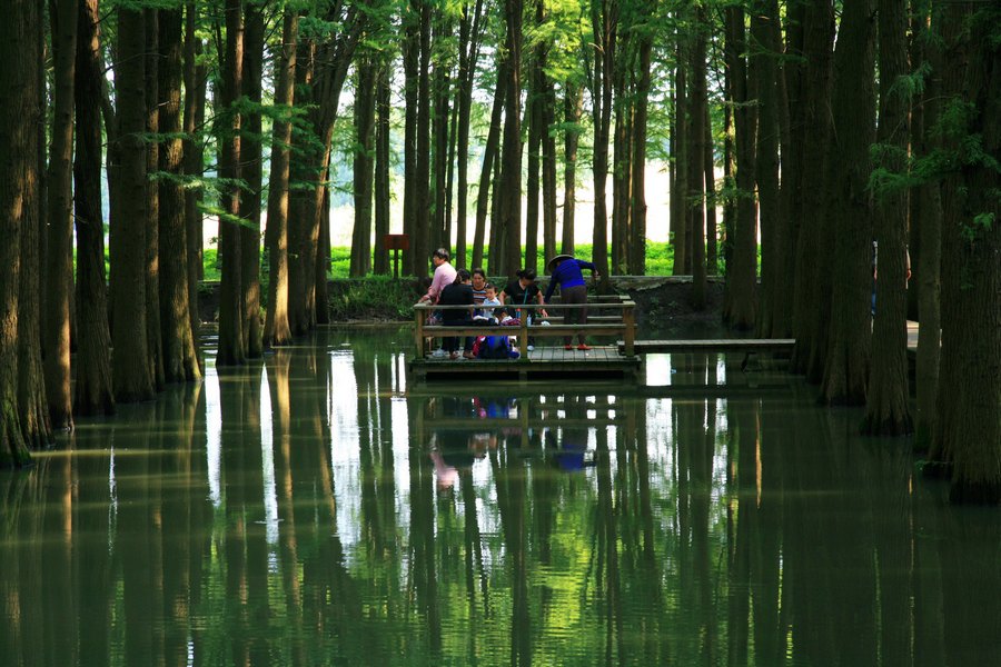 【攜程攻略】興化李中水上森林公園適合朋友出遊旅遊嗎,李中水上森林