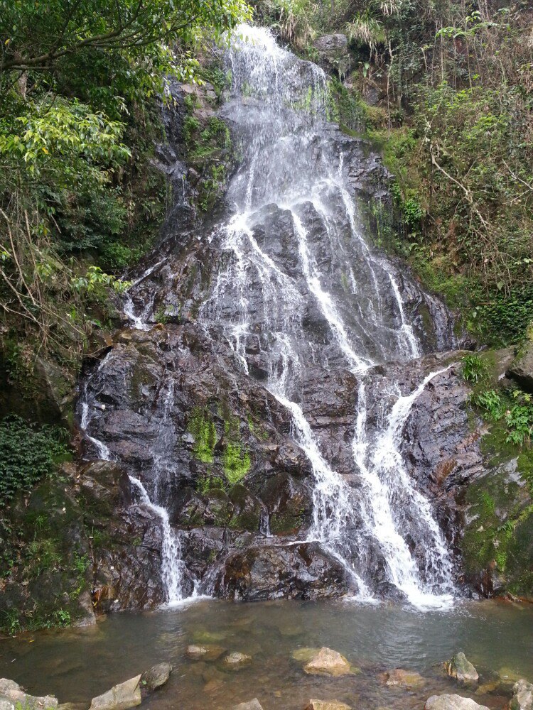 【攜程攻略】崇義陽明山國家森林公園適合朋友出遊旅遊嗎,陽明山國家