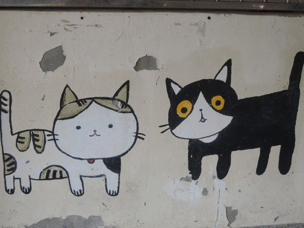 【BlackCat】初見“台灣”—西線篇-旅人制造