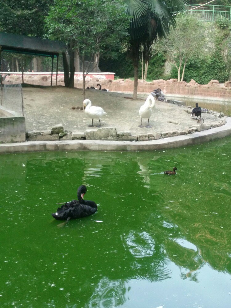 大連森林動物園