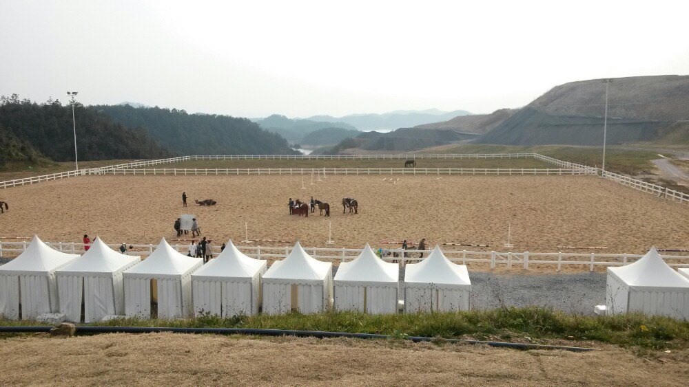 2021进贤湾马术公园玩乐攻略,贵贵贵………………就几匹马.