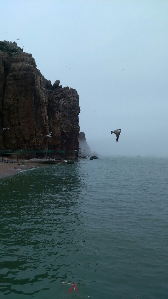 【攜程攻略】榮成海驢島適合家庭親子旅遊嗎,海驢島家庭親子景點推薦