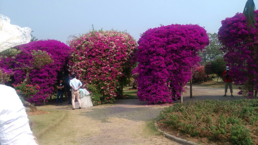 熱帶花卉園