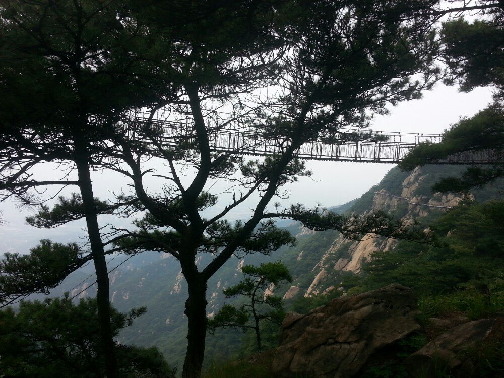 沂蒙山旅遊區龜蒙景區旅遊景點攻略圖