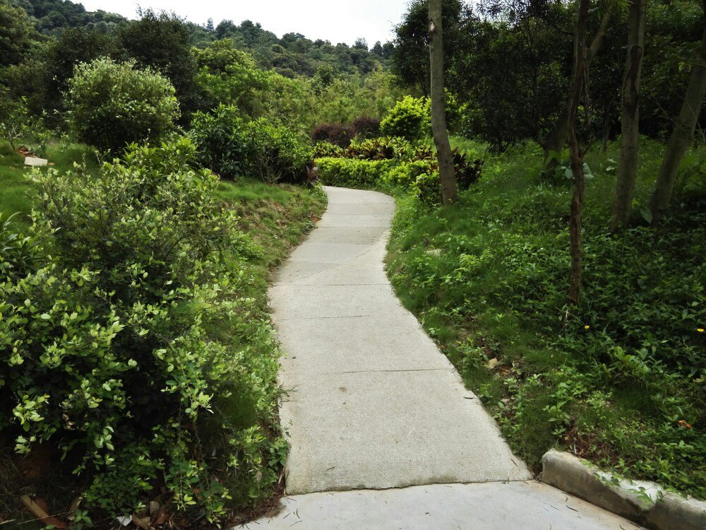 【攜程攻略】廣州云溪生態公園適合家庭親子旅遊嗎,云溪生態公園家庭