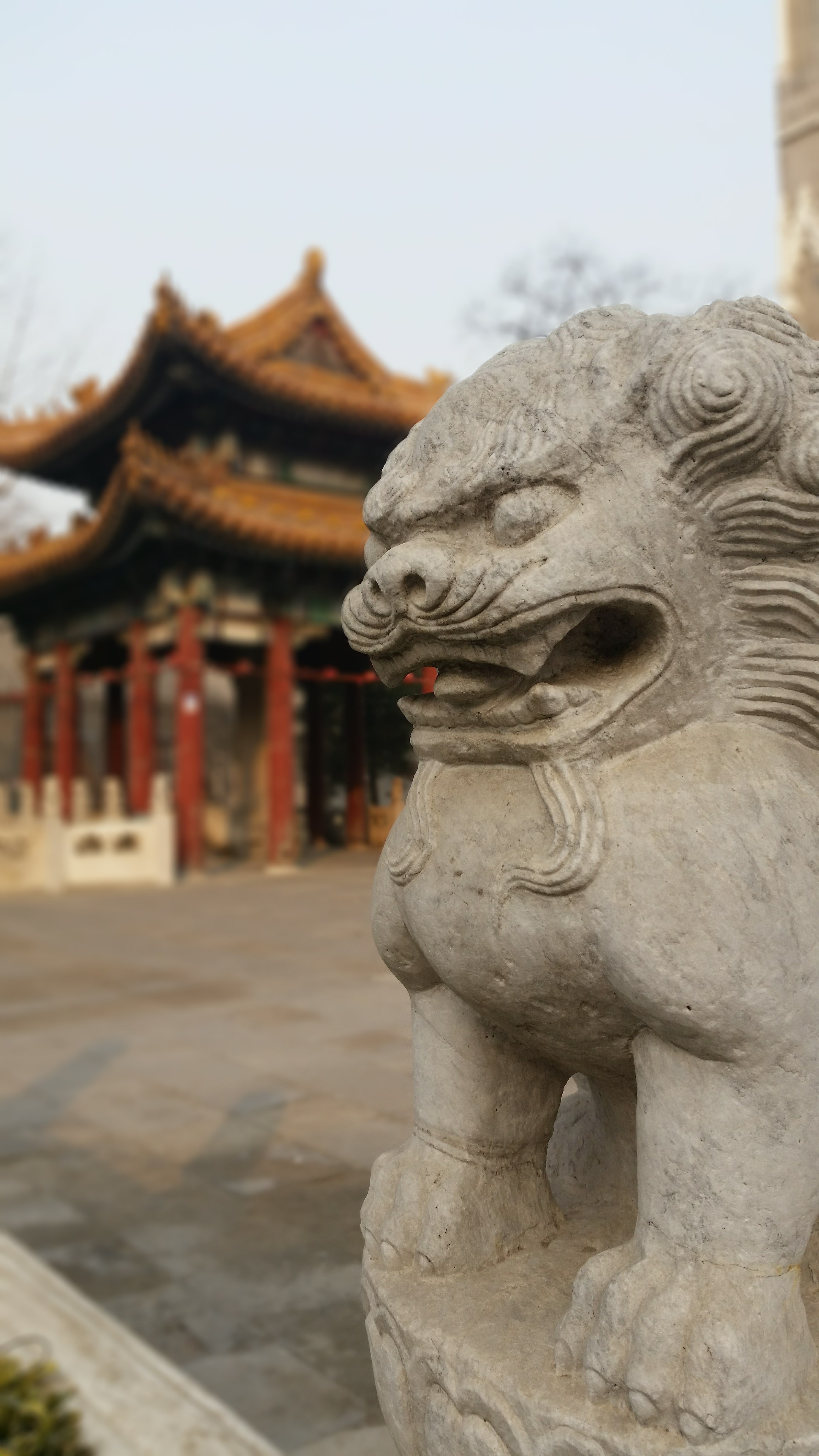 2019西什库教堂（北堂）-旅游攻略-门票-地址-问答-游记点评，北京旅游旅游景点推荐-去哪儿攻略