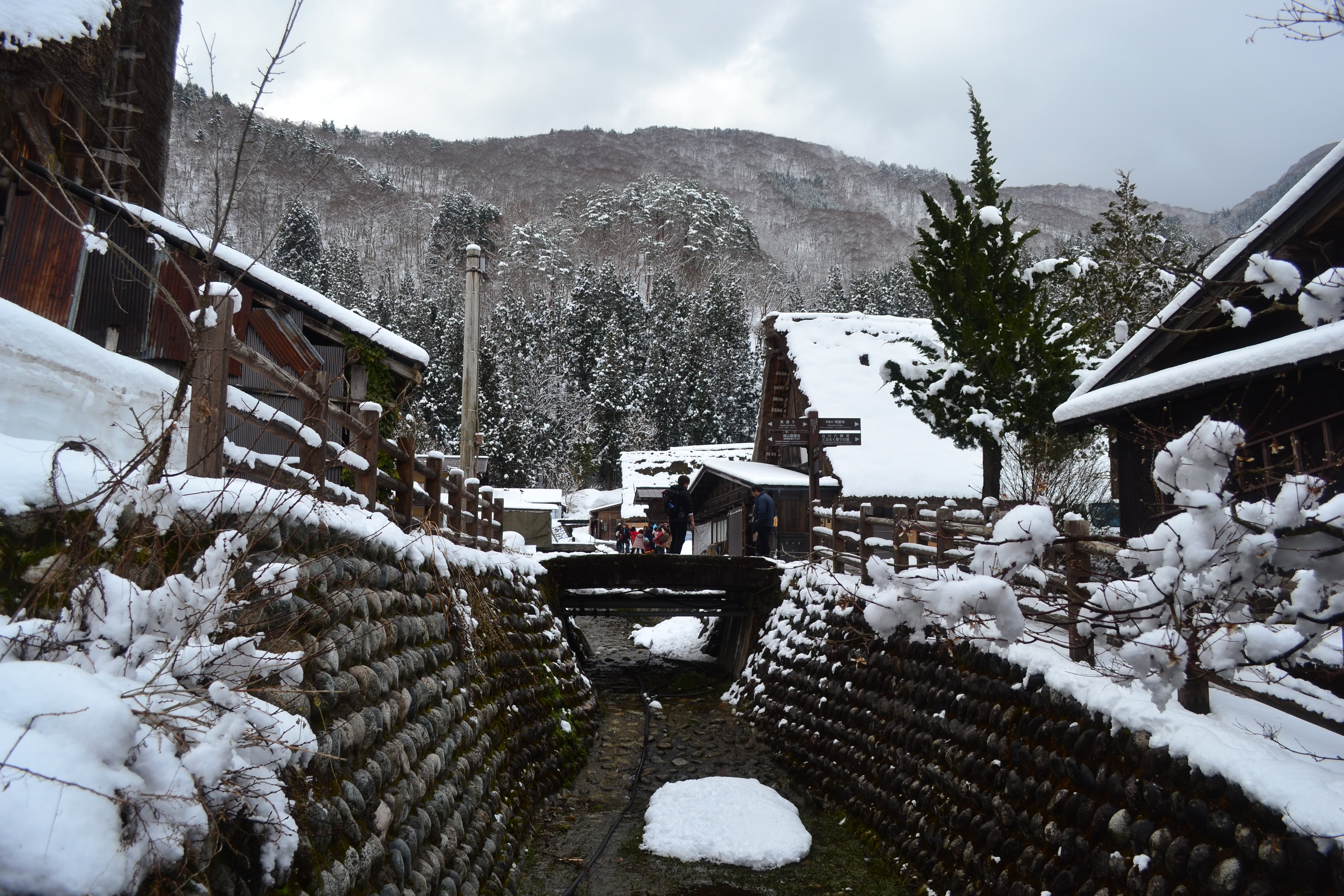 白川鄉合掌村旅遊景點攻略圖