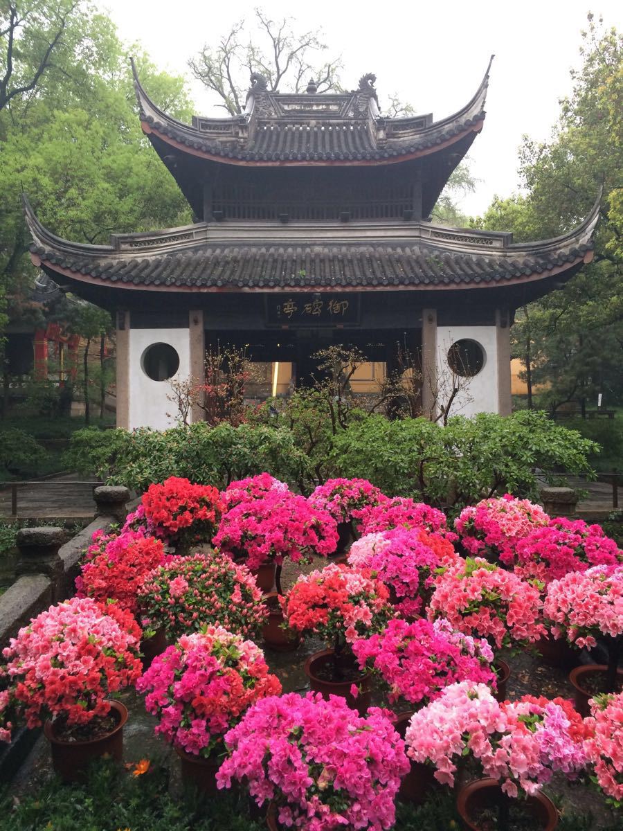 【携程攻略】无锡锡惠公园适合情侣出游旅游吗,锡惠公园情侣出游景点