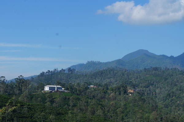 【2015】走进斯里兰卡之十二:埃勒小亚当峰