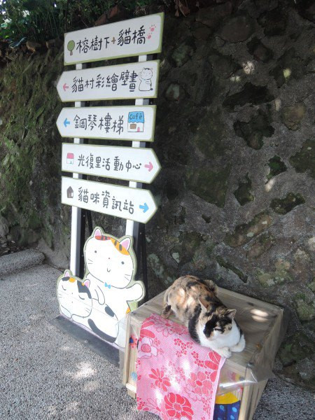 【BlackCat】初見“台灣”—西線篇-旅人制造