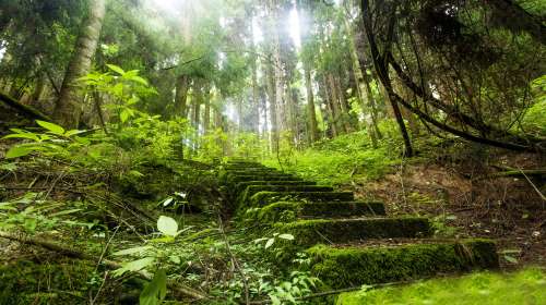 坪壩營原生態休閒旅遊區門票,坪壩營原生態休閒旅遊區