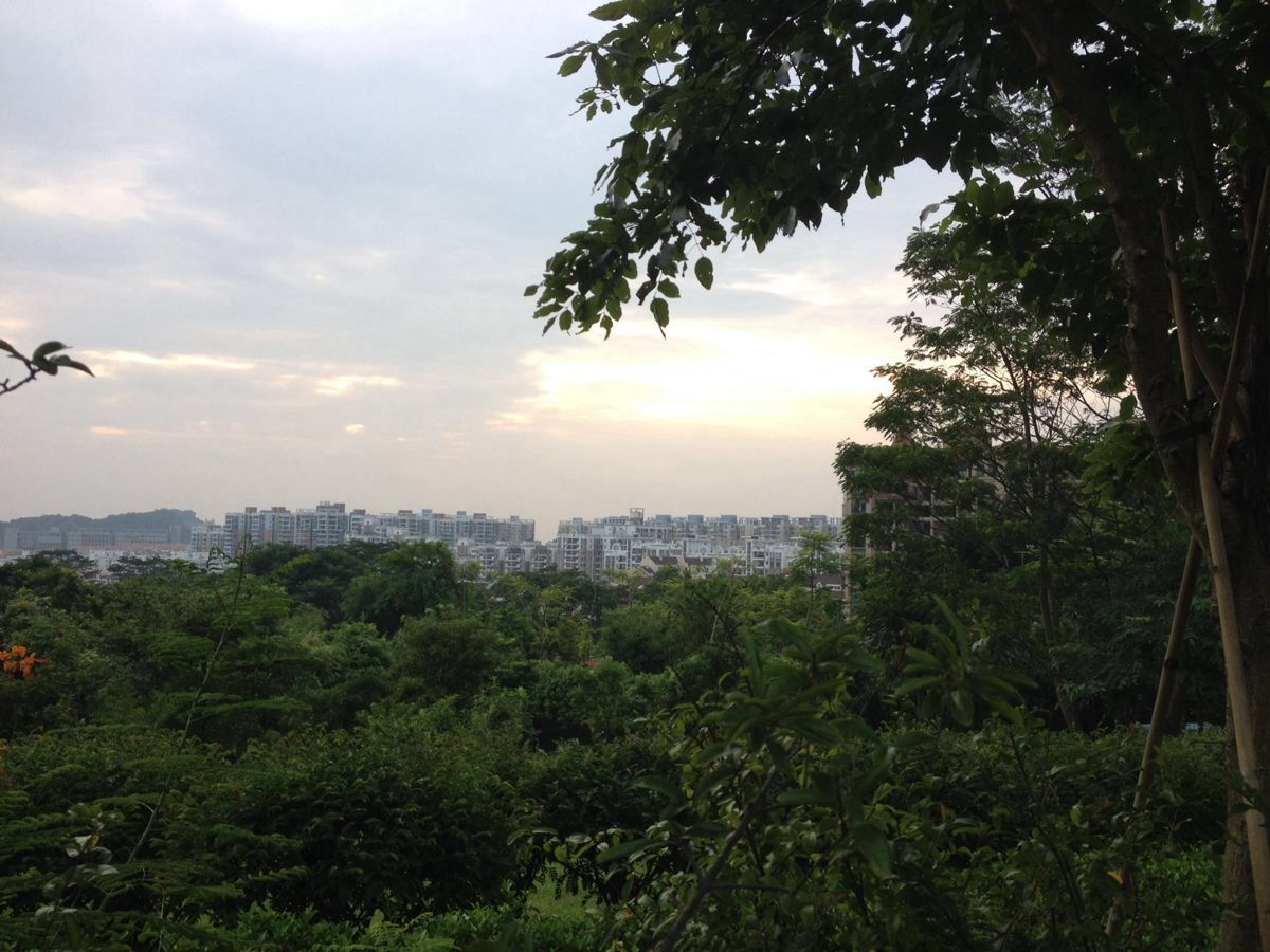 2020平峦山公园-旅游攻略-门票-地址-问答-游记点评,深圳旅游旅游景点