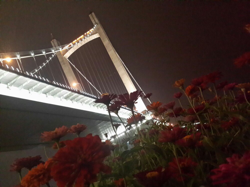 南江滨堤外公园