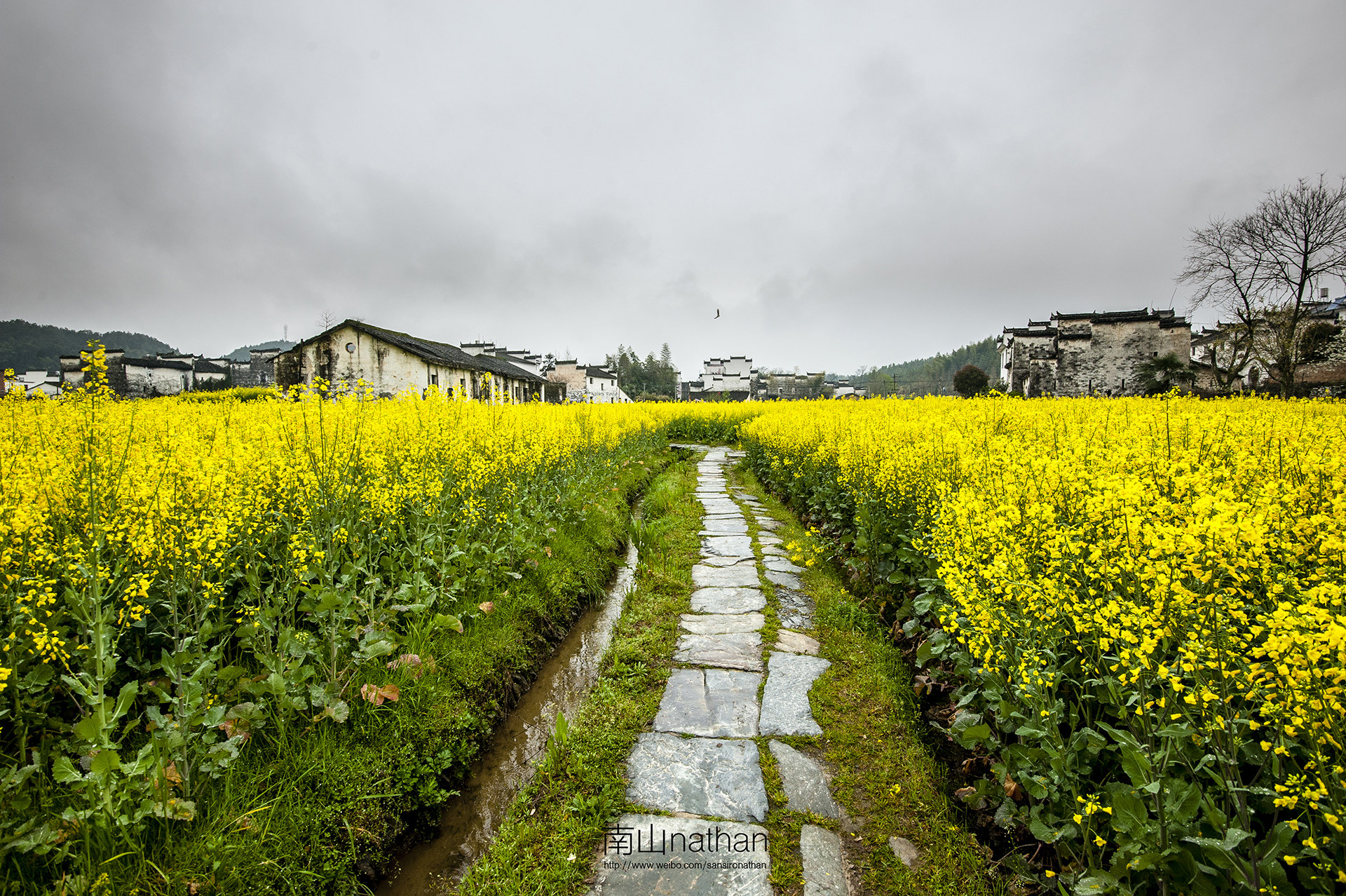 2023思溪延村游玩攻略,思溪延村,以明清古建筑为主.【去哪儿攻略】