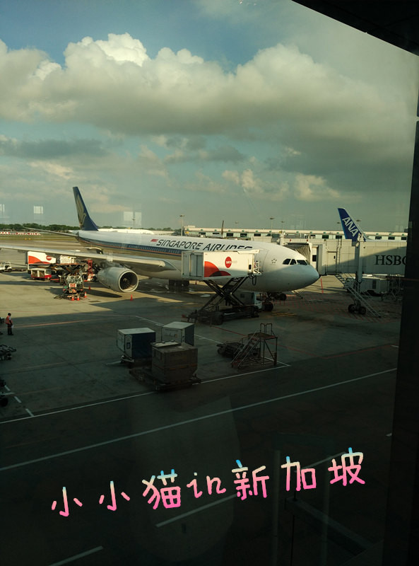 南纬8°巴厘岛+新加坡转机(含菜单中英文)(入