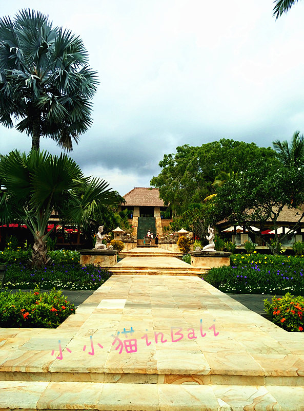 南纬8°巴厘岛+新加坡转机(含菜单中英文)(入