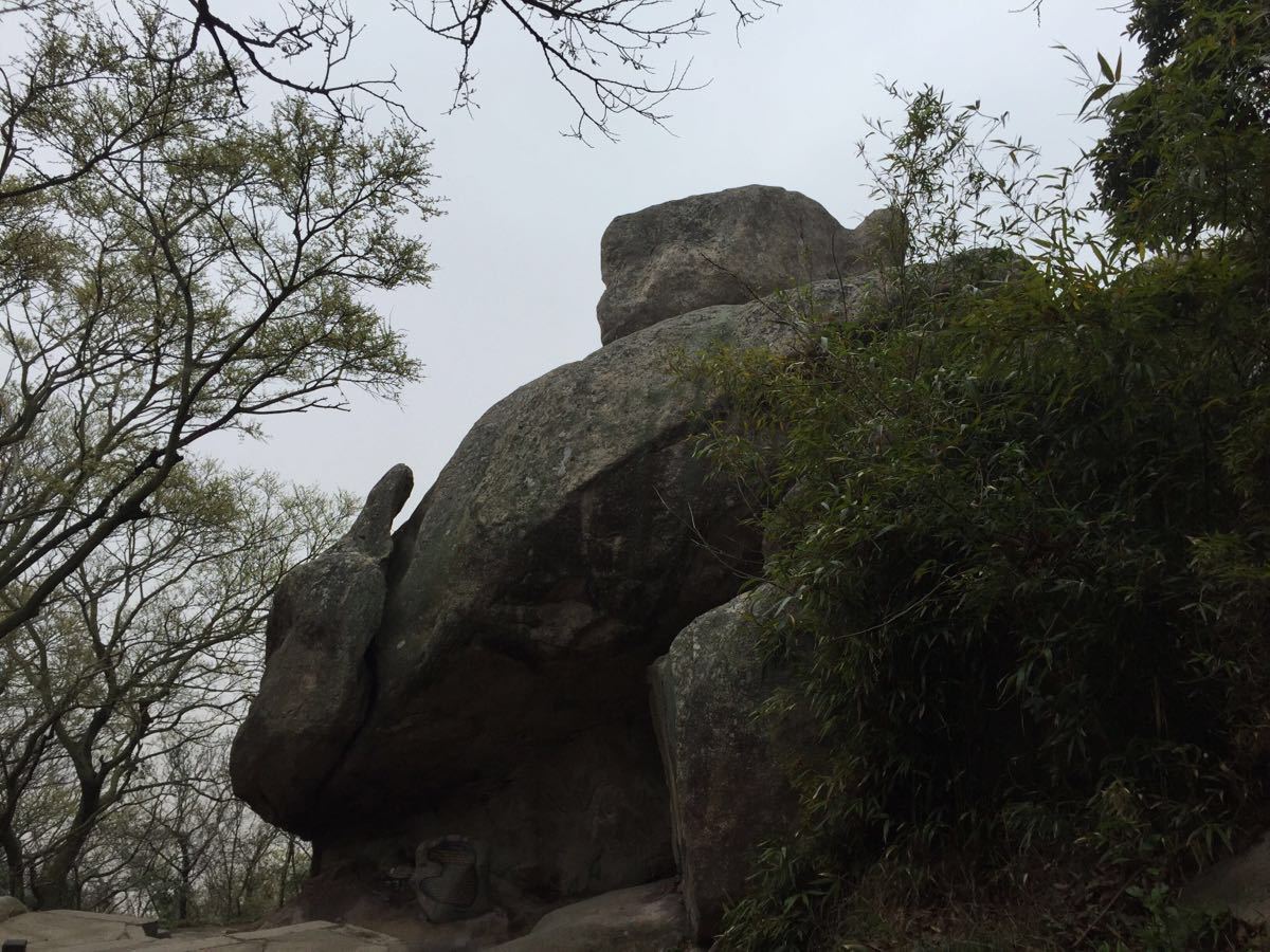 2019二龟听法石_旅游攻略_门票_地址_游记点评,普陀山旅游景点推荐