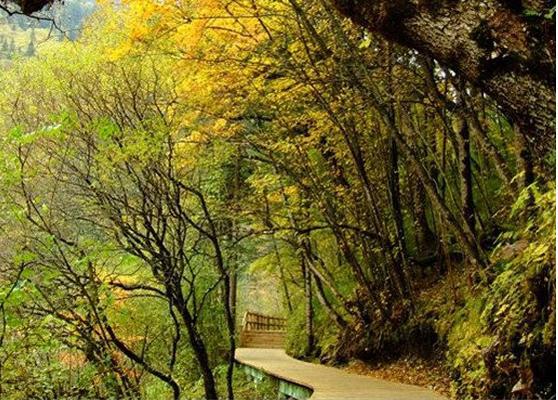 2023扎如马道游玩攻略,扎如沟景色与九寨沟其他三条.【去哪儿攻略】