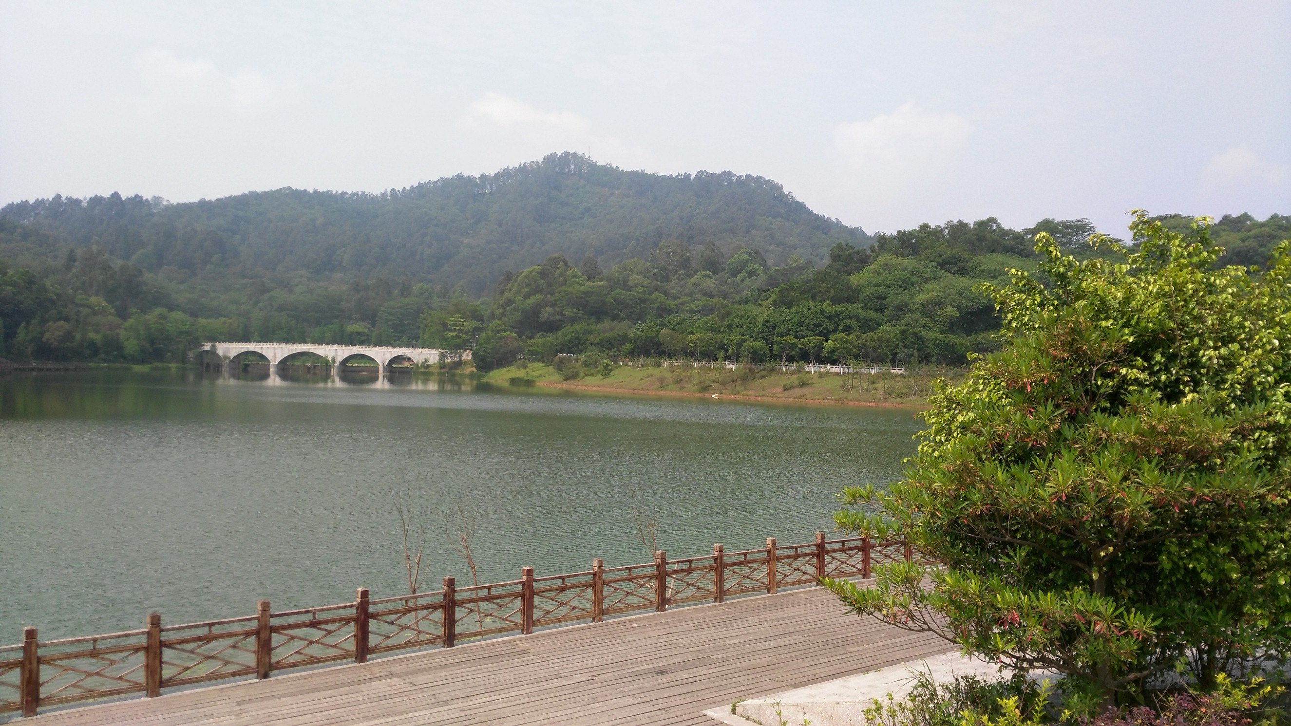 大夫山森林公园旅游景点攻略图