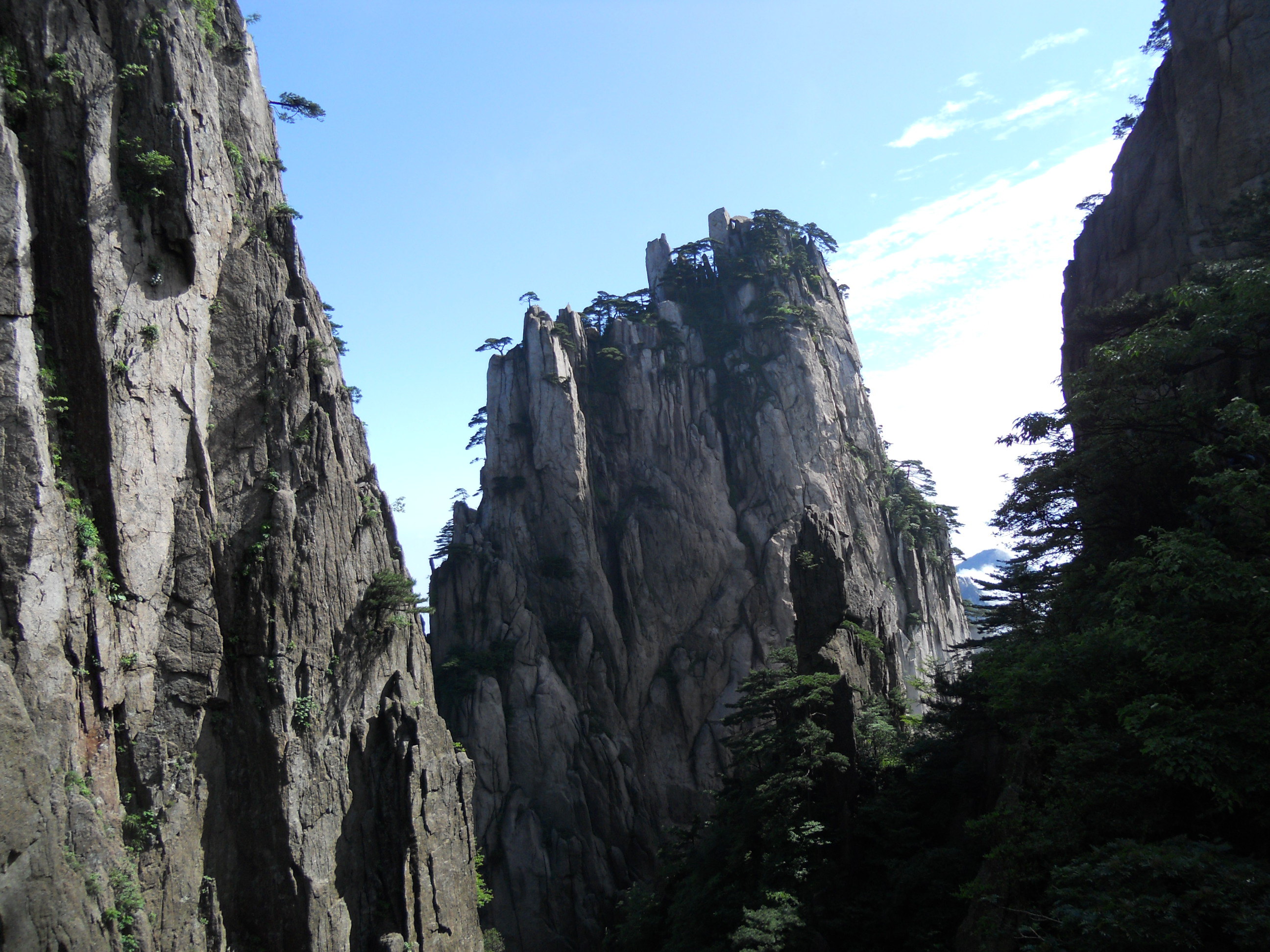 2019始信峰_旅遊攻略_門票_地址_遊記點評,黃山區旅遊景點推薦 - 去