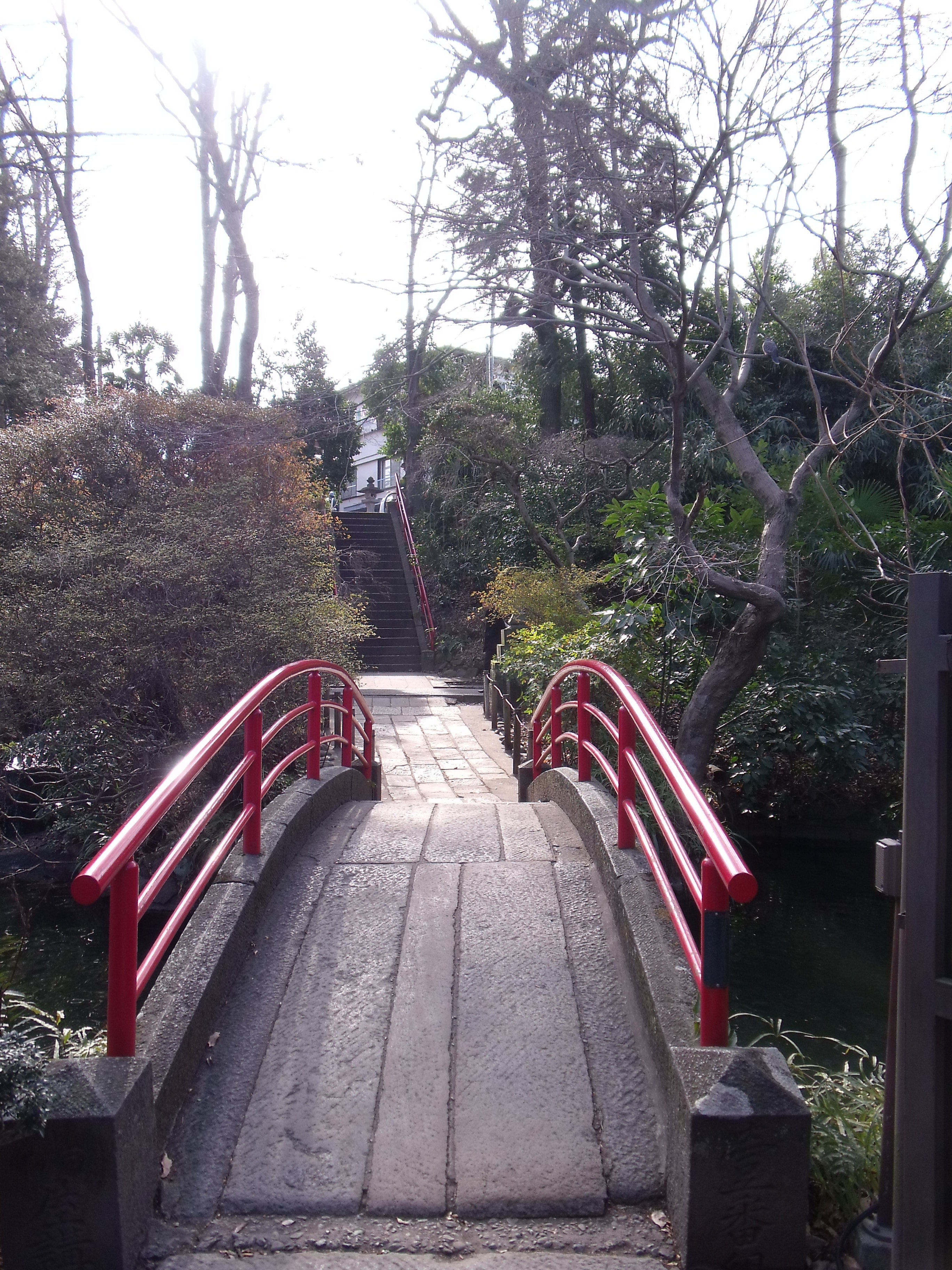 2019井之头恩赐公园_旅游攻略_门票_地址_游记点评,东京旅游景点推荐 